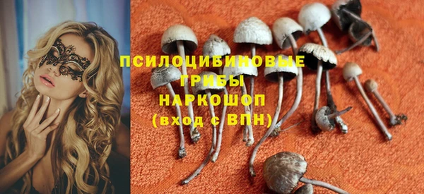 гидра Армянск