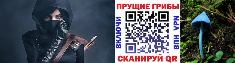 Псилоцибиновые грибы Magic Shrooms  kraken ссылки  Спасск 