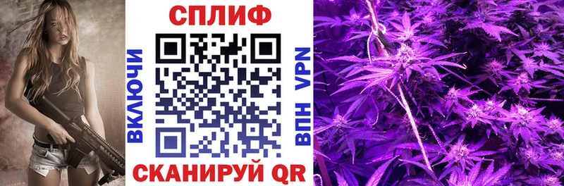 Каннабис ГИДРОПОН  купить закладку  Спасск 